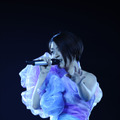 宇多田ヒカル、初Blu-ray化も含む「HIKARU UTADA LIVE CHRONICLES」全8タイトル