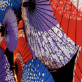 オクトーバーフェスト in 東京スカイツリータウン2024