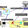 「TSPY_KATES」感染プロセス図解