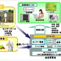 農業ICT化ソリューションのサービスイメージ