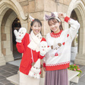 クリスマスの妖精“リルリンリン”のグッズ　（C）Disney