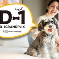 D-1グランプリ