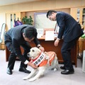 市長からタスキをかけてもらったマギーちゃん（写真は亀岡市役所の公式Facebookから）※亀岡市役所に掲載許諾をもらってます