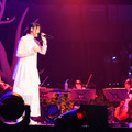 「いきものがかり 路上ライブ at武道館」photo：岸田哲平／Teppei Kishida