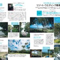 25ansウエディング2024-25Winter＆Spring（ハースト婦人画報社）