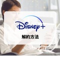 Disney+ (ディズニープラス)の月額料金は990円！支払い方法も解説！
