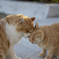 ねこ休み展 冬 2025