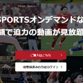 動画配信サービスおすすめ人気ランキング12選を徹底比較！【2025年最新】