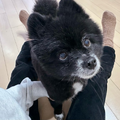 1月12日に川島菜月が投稿した画像（川島菜月オフィシャルブログより）