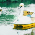 写真＝干川修