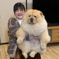 2月6日放送『わんにゃん観察バラエティ アニマリング』　(C)TBS