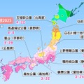 名所の桜開花予想