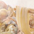 釜抜き麺にだしがよくからんで、おいしさあふれる