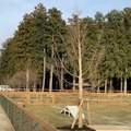 那須千本松牧場