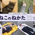 「『ねこのねかた』22選」