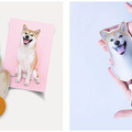 犬好きのお母さんへ贈る、愛犬の写真でつくる本革キーケース