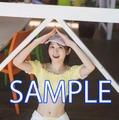 【AKIHABARAゲーマーズ本店・池袋店・通販共通】限定ブロマイド