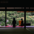 京都・智積院　イメージ