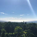 ハワイ風景