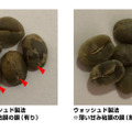 セミウォッシュド製法