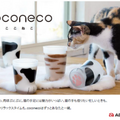 リアル店舗ならではの楽しみ方を提供！猫雑貨の新たな取り扱いと、猫用おもちゃお試しブースを展開