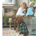 関東エリア店舗初！犬用アパレル用品のショップ・イン・ショップ「WAN　CLOSET」を新設