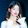 美髪なびかせ…IVE・ウォニョン、ダイソン韓国公式アンバサダーに就任！眩いイメージカットも公開