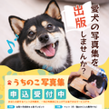 うちのこ写真集