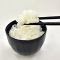 【無料】こんにゃくパークオリジナルこんにゃく入りご飯、特製こんにゃくみそ汁の大試食大会！