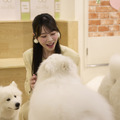 『あそばにゃそんそん』　（C）「あそばにゃそんそん」製作委員会
