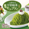 宇治抹茶の大俵モンブラン