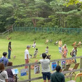 Happy！ワン Daysフェスタ