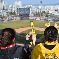 “プレー動画戦略”も人気爆発の要因？韓国プロ野球が過去最速で入場者200万人突破、平均も前年比19％増加