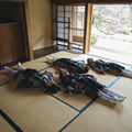 新しい学校のリーダーズのライブ＆ドキュメンタリー映画『青春イノシシ　ATARASHII GAKKO! THE MOVIE』　（C）2025, ASOBISYSTEM / TV ASAHI MUSIC / TWIN PLANET & CJ 4DPLEX Japan