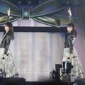「乃木坂46 13th YEAR BIRTHDAY LIVE」撮影：鈴木健太(KENTA Inc.)