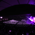 「乃木坂46 13th YEAR BIRTHDAY LIVE」撮影：鈴木健太(KENTA Inc.)