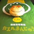 「カエルまんじゅうコラボルーム」　客室イメージ