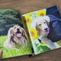 「うちのこ写真集」見開きイメージ