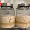 【日本初！生マッコリづくり体験】生マッコリ工房が特別なプログラムをリリース