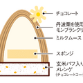 プレーン／断面図