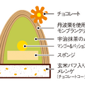 抹茶／断面図
