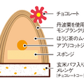 ほうじ茶／断面図