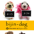 bijin-dog