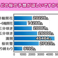 どの時期の桜の予想がほしいか