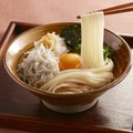 平延べうどん　調理例(釜揚げしらす)