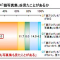 「猫ブログ」や「猫写真集」を見たことがあるか