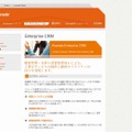 「Avanade」CRM紹介サイト（画像）