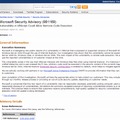 Microsoft Security Advisory （981169）