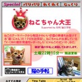 あのHITOEやかわいいねこちゃんの番組が登場！「So-net TV」7月の新番組