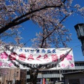 西南さくら祭り